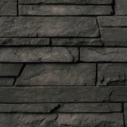 Northern Ash