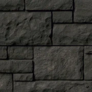 Northern Ash