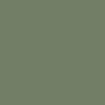 lakeshore fern